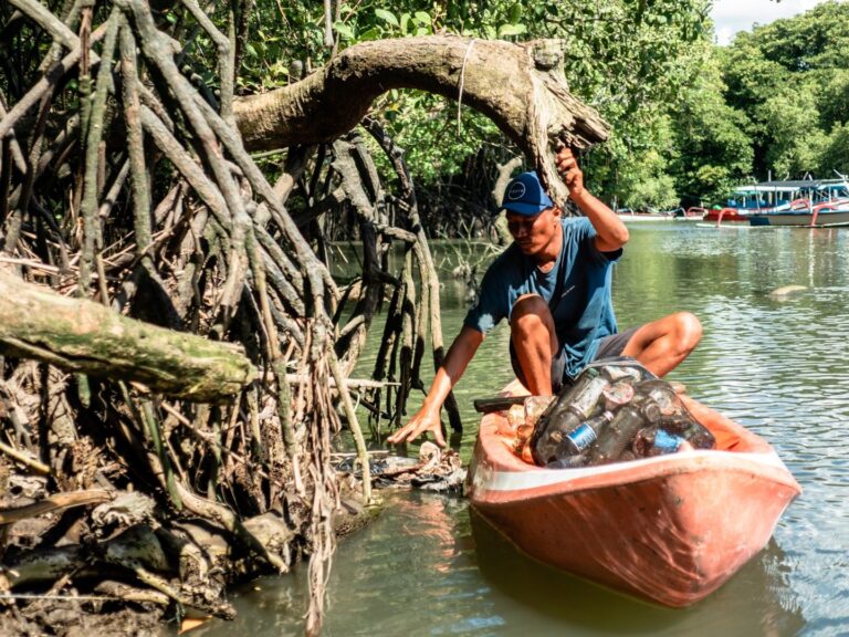 operatore di fishing for litter su una piccola imbarcazione che raccoglie rifiuti intorno ad una pianta di mangrovia